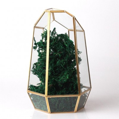 Glass Micro-Landscape Display Terrarium Succulent Plants Flower Plant Pot #4   382239196714